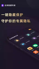 应用隐藏专家
