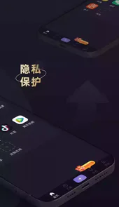 应用隐藏专家