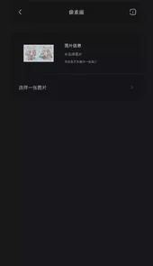 迷你兔