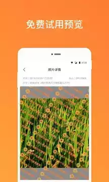 手机照片恢复管家