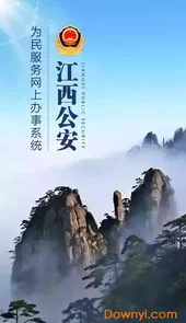 公安政务服务平台