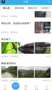 马山信息港在线看报
