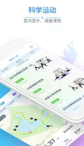 多锐