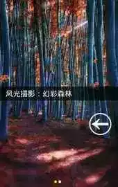 羊城晚报电子版在线看