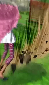 海贼王燃烧热血电脑版
