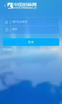 中国招标网平台