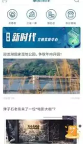 掌新南岸客户端