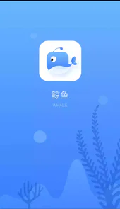 鲸鱼加速器ios