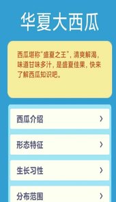 华夏大西瓜