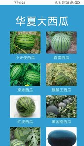 华夏大西瓜app