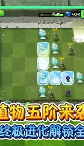 植物大战僵尸在线版