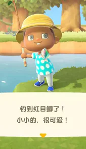 动物之森