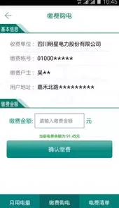明星电力