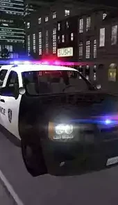 美国警察模拟器2022破解版