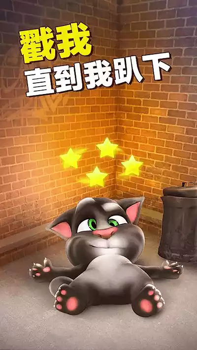 会说话的猫手机版