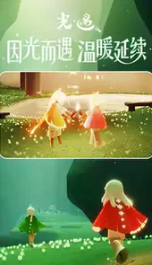 光遇白鸟全物品版最新版
