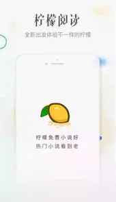 柠檬小说