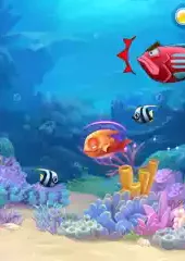 大鱼吃小鱼3d版破解版