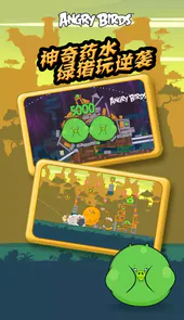疯狂的小鸟