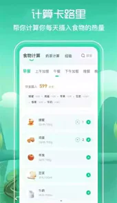 BMI减肥食谱