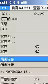 ndszoomer模拟器