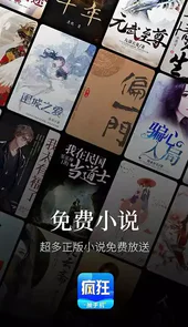 疯狂小说网