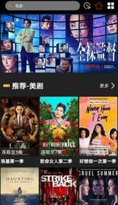 v视界影视