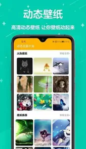 主题壁纸君