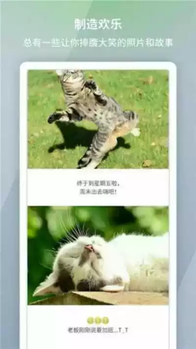 picsew长拼图破解版