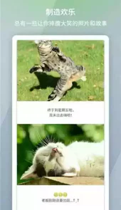 picsew长拼图破解版