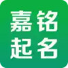 嘉铭宝宝起名取名破解版 3.27