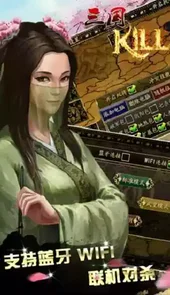 三国杀kill单机