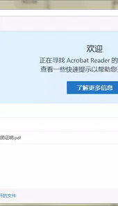 adobe reader
