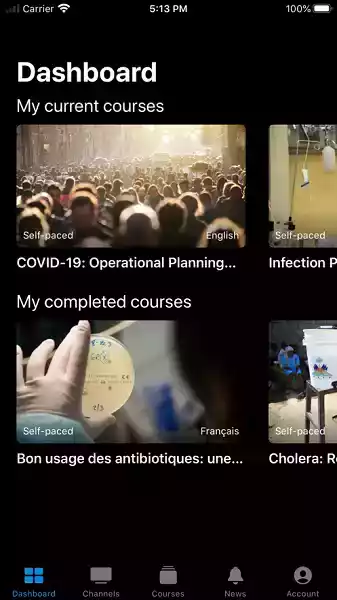 openwho官网手机版