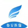泰安医保app 5.15