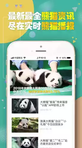 熊猫频道直播