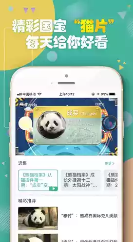 熊猫频道直播