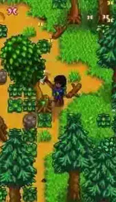 stardew valley最新版