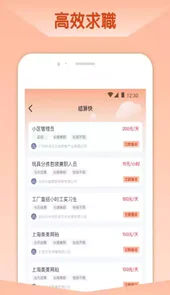 橘猫招聘