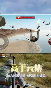 沙漠雄鹰