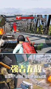 沙漠雄鹰