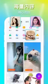 来电秀秀秀最新版