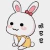 多态兔兔 v1.1.0