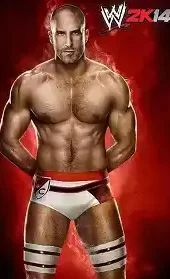 wwe2k14