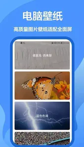 手机墙纸