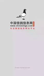 中国信鸽信息网手机版