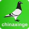 中国信鸽信息网手机版 2.30