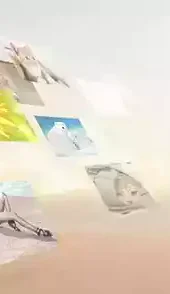 360壁纸图片大全墙纸