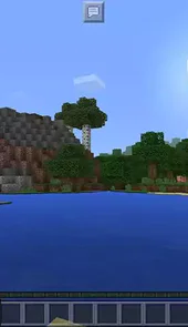 我的世界1.1