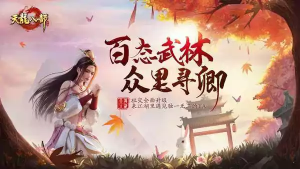 变态天龙八部私服